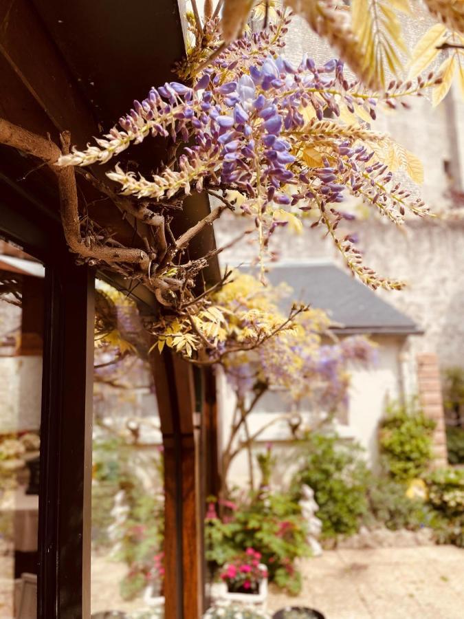 Hotel De La Sologne Beaugency Kültér fotó