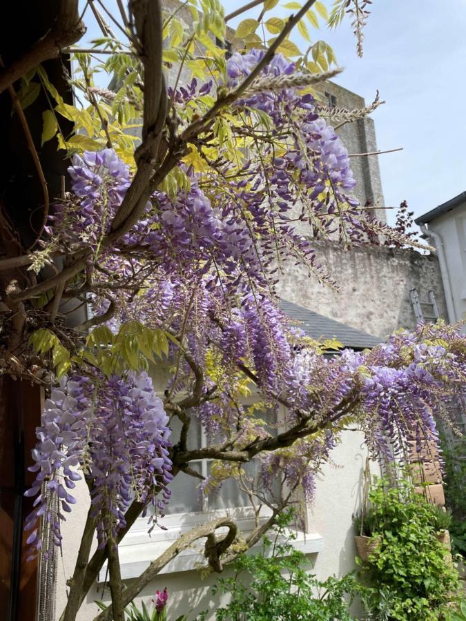 Hotel De La Sologne Beaugency Kültér fotó